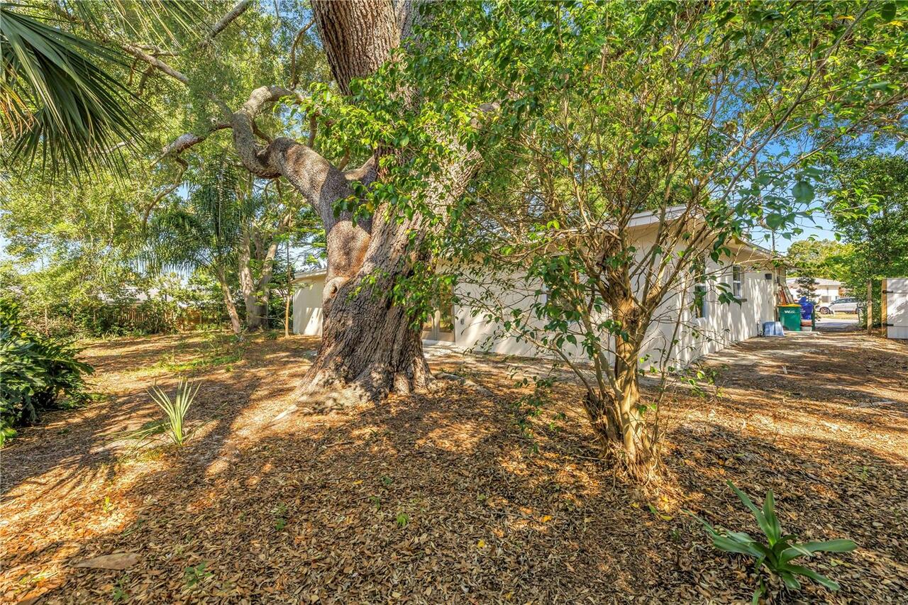Listing Photo 41
