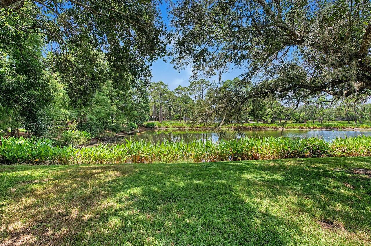 Listing Photo 46