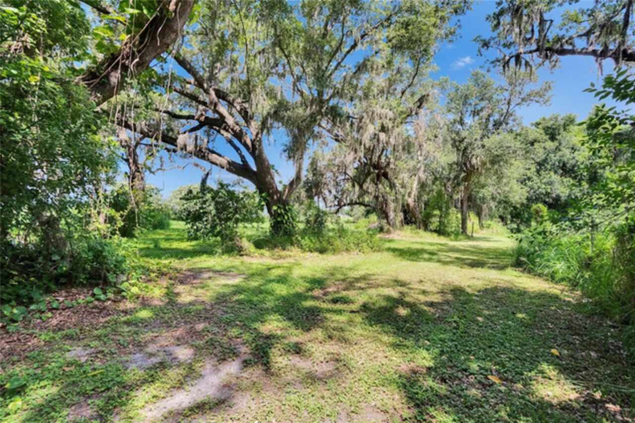 Listing Photo 42