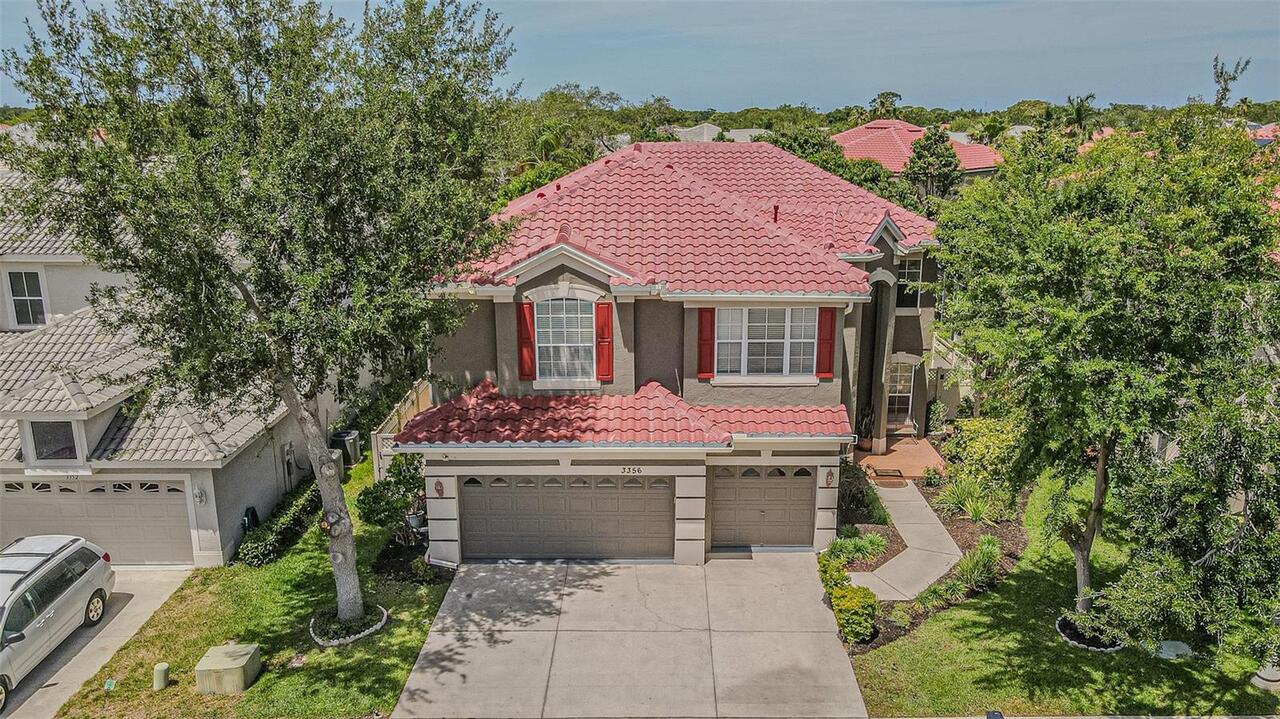 Dunedin Real Estate