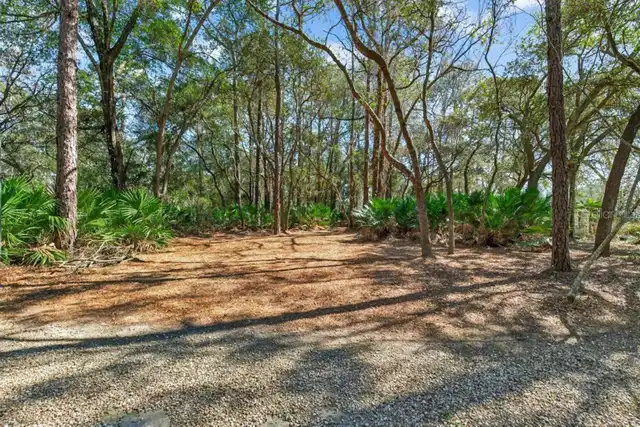 Listing Photo 37