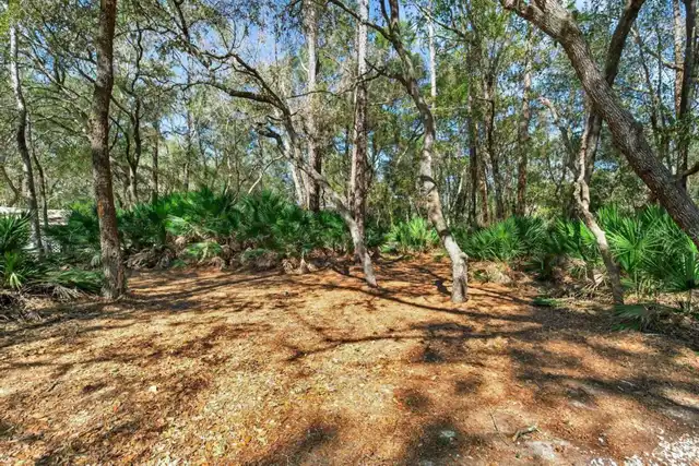 Listing Photo 53