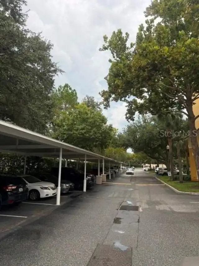 Listing Photo 22