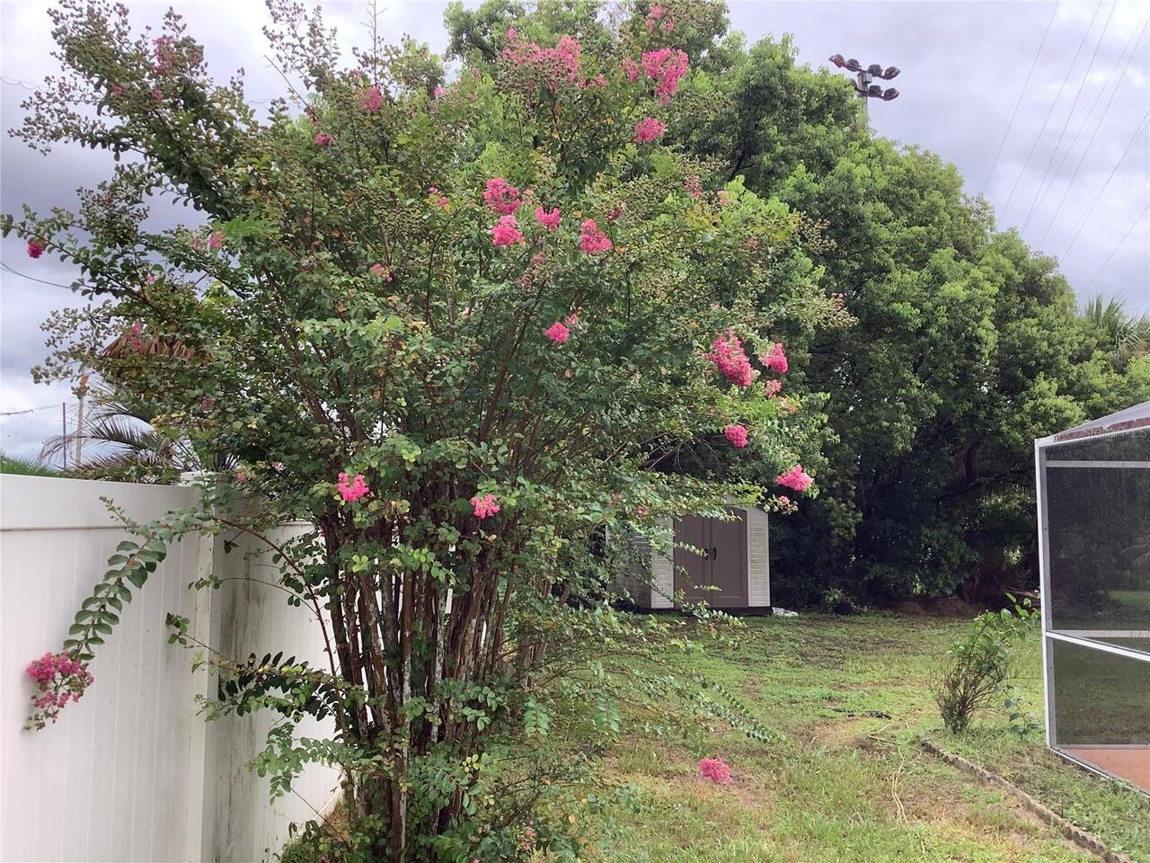 Listing Photo 11