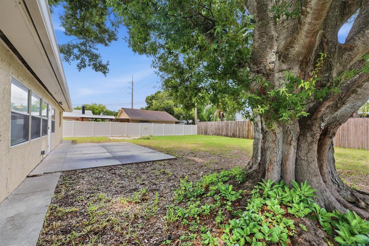 Listing Photo 31