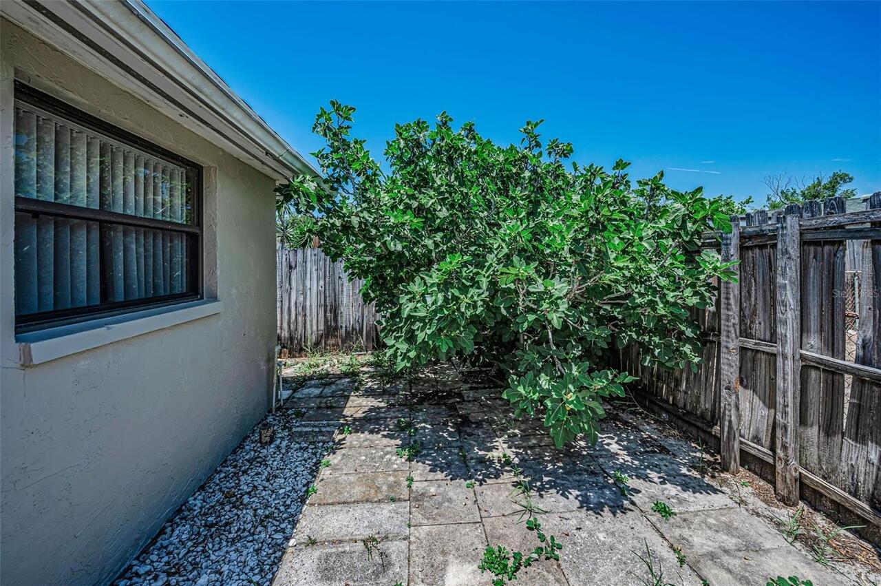 Listing Photo 36