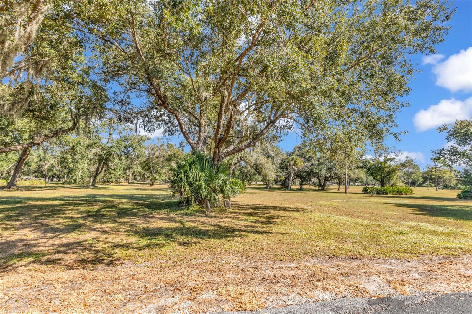 Listing Photo 38