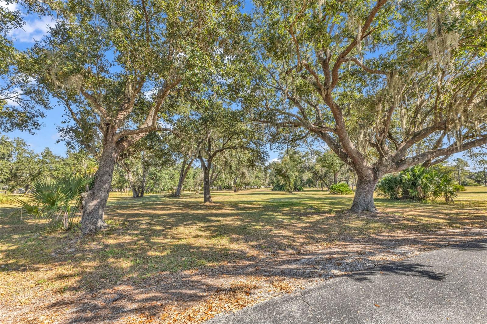 Listing Photo 39