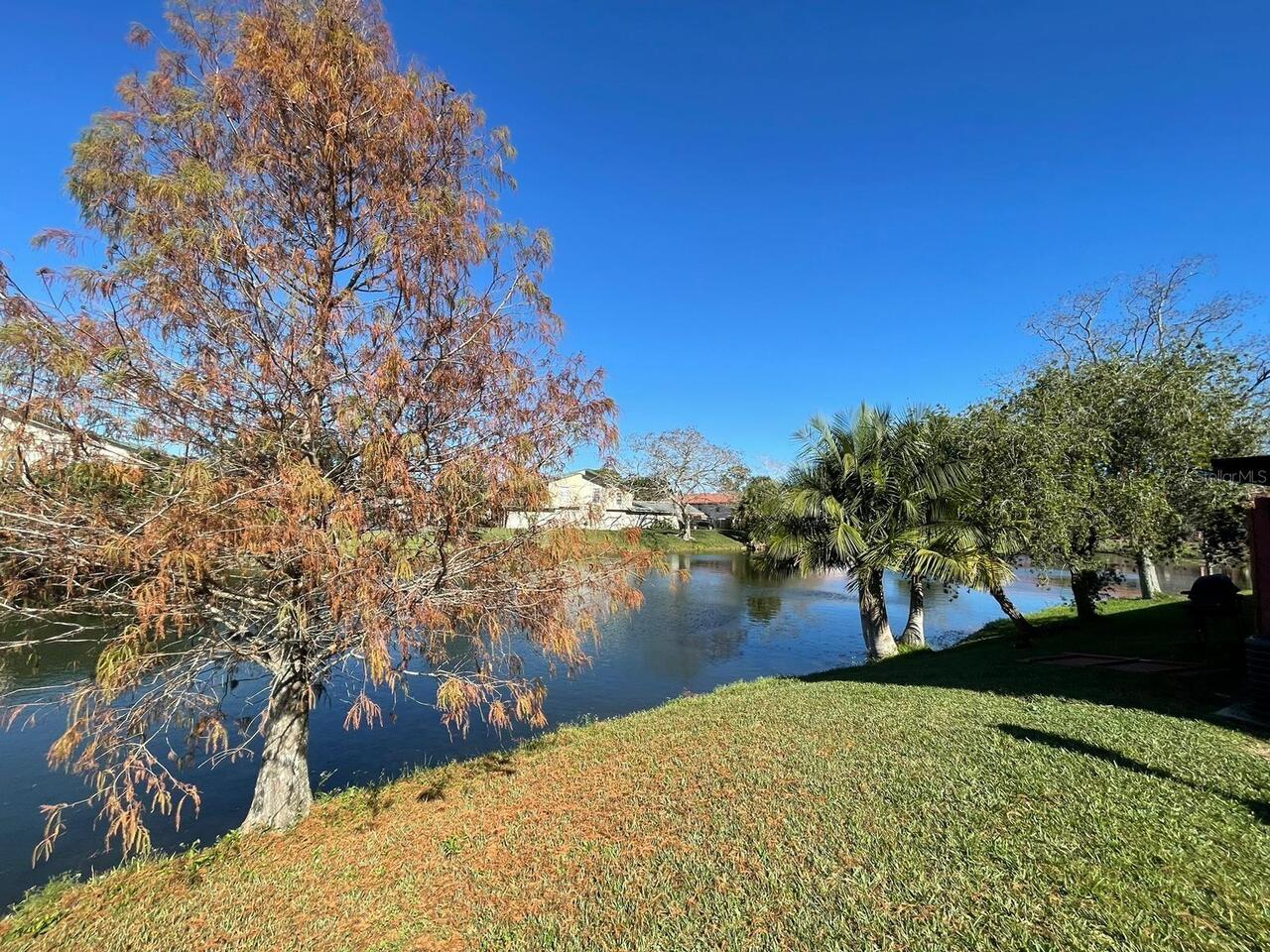 Listing Photo 13