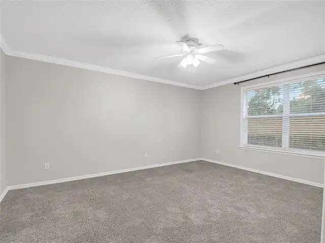 Listing Photo 41