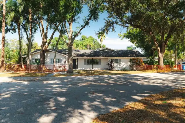 Tampa Real Estate