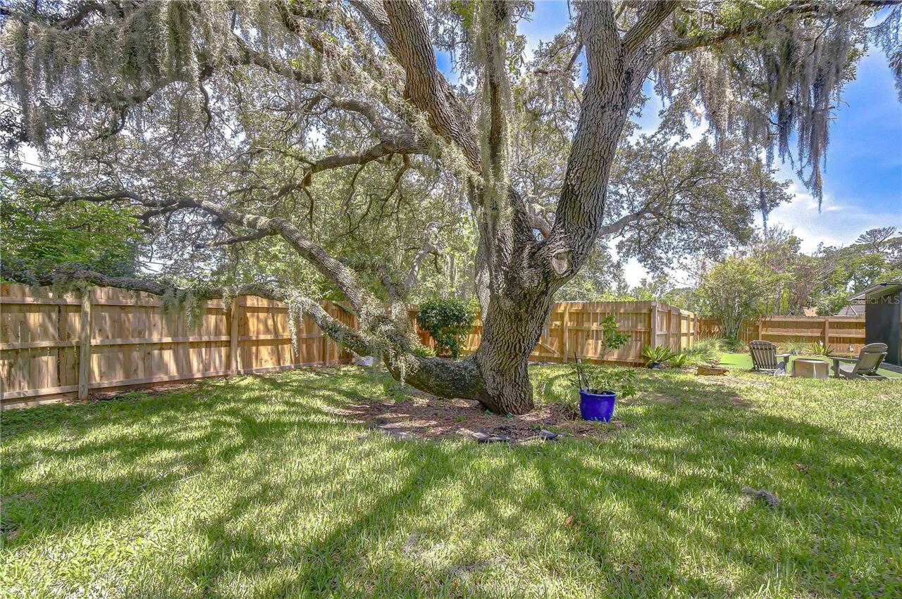 Listing Photo 78