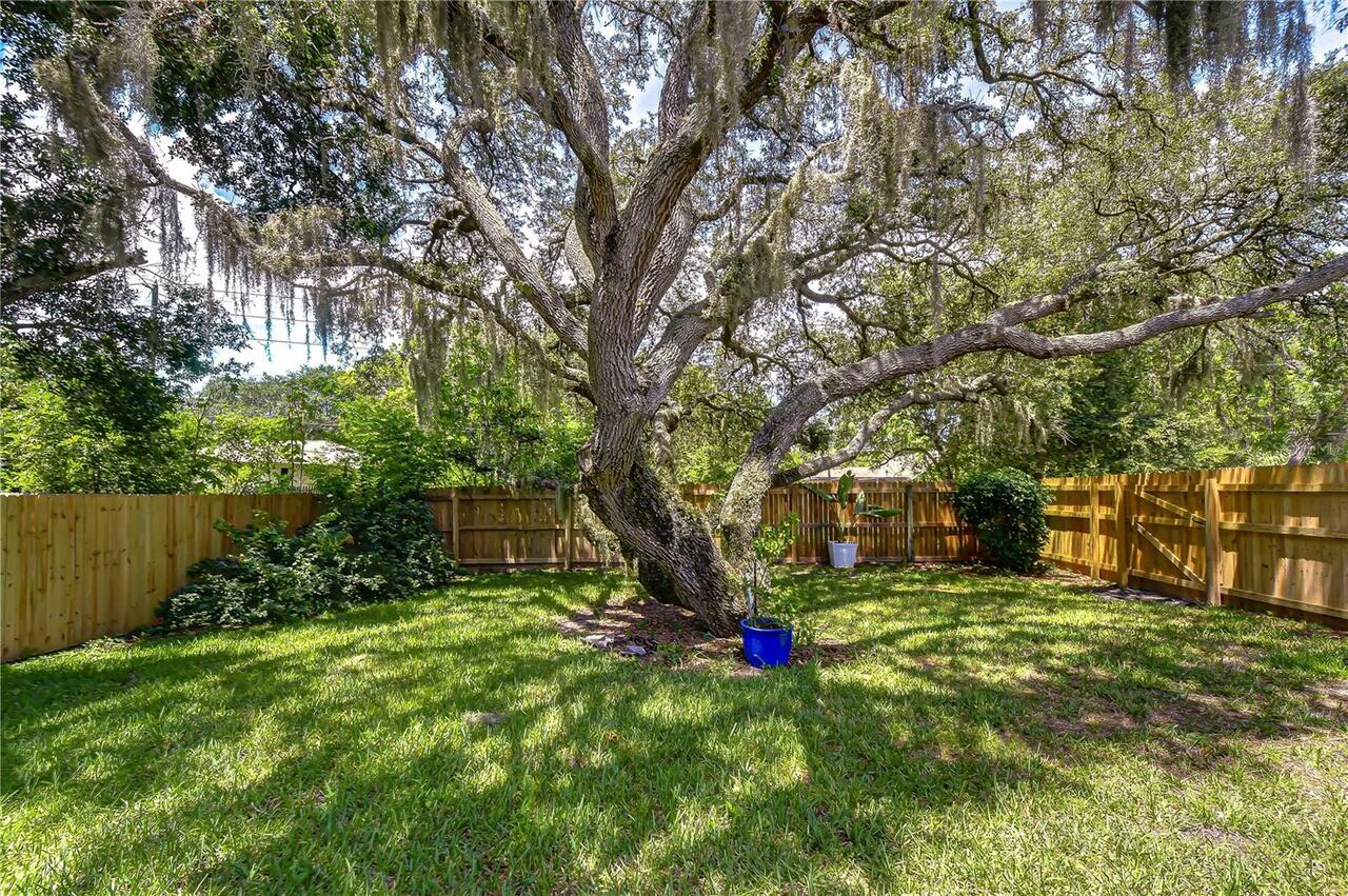 Listing Photo 99