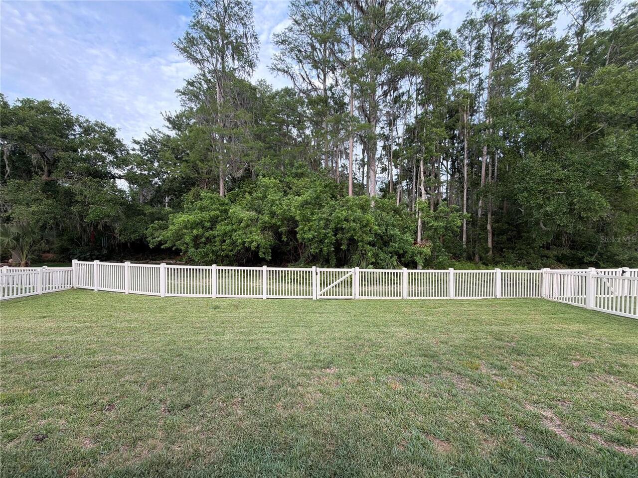 Listing Photo 31