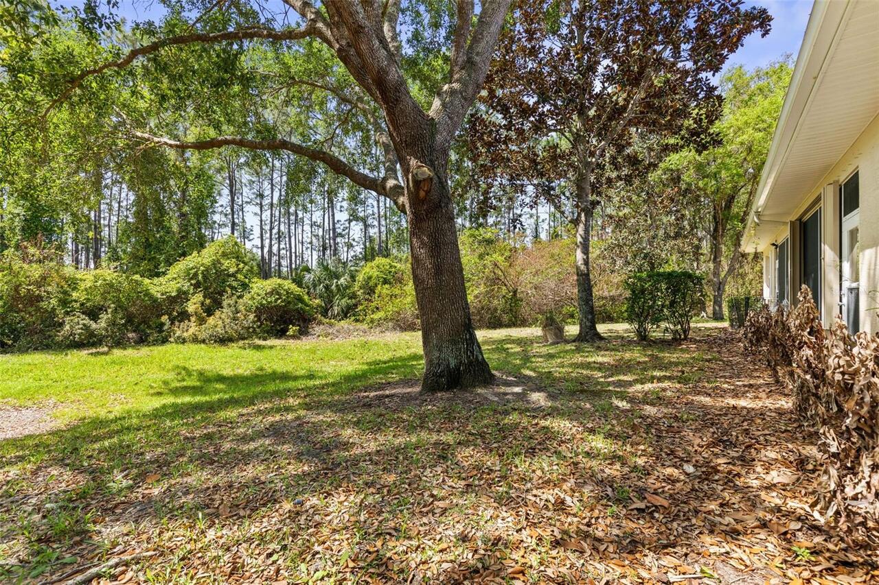 Listing Photo 41