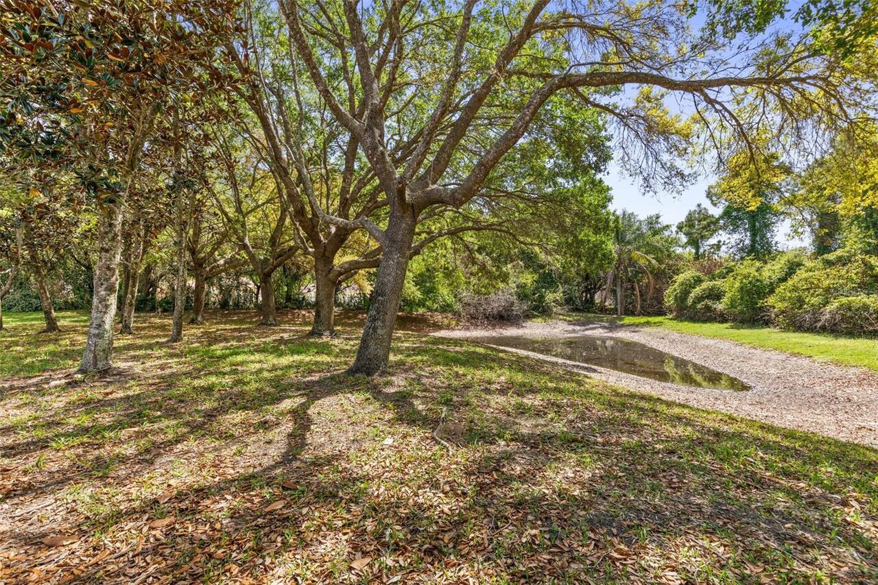 Listing Photo 43