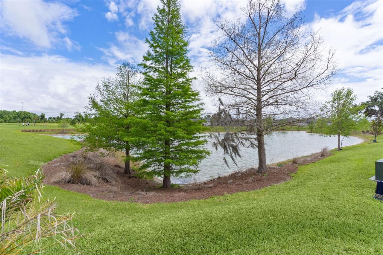 Listing Photo 64
