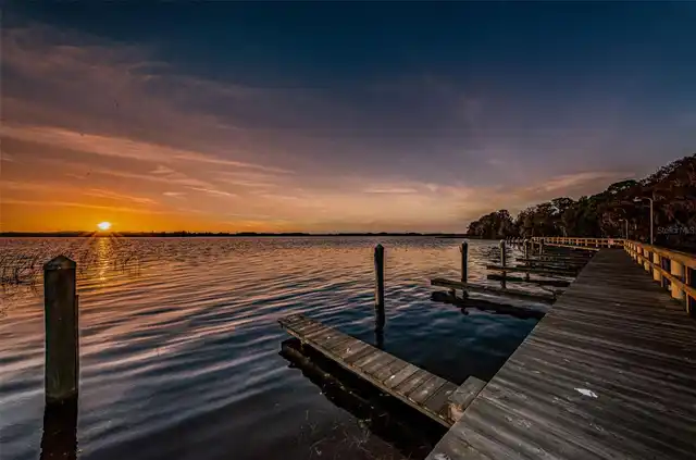 Listing Photo 99