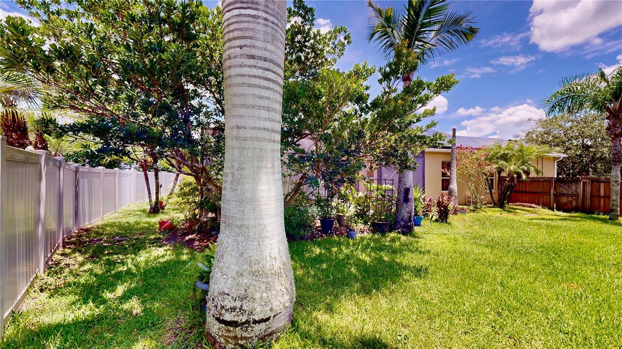 Listing Photo 61