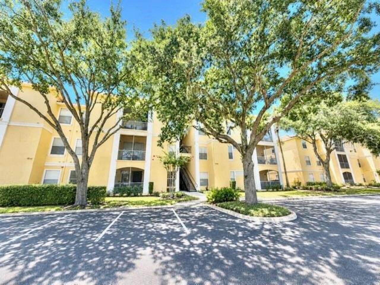 Maitland Real Estate