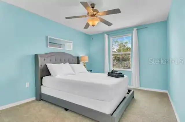 Listing Photo 22
