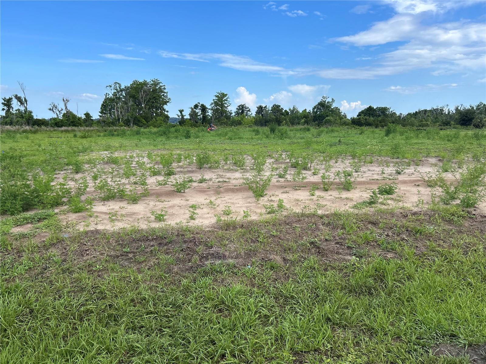 Astatula Real Estate