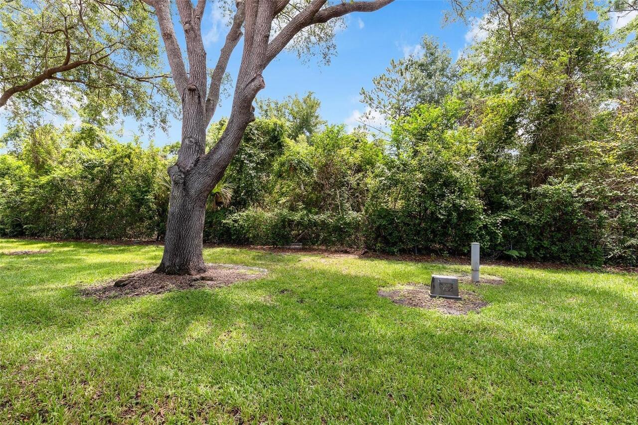 Listing Photo 64