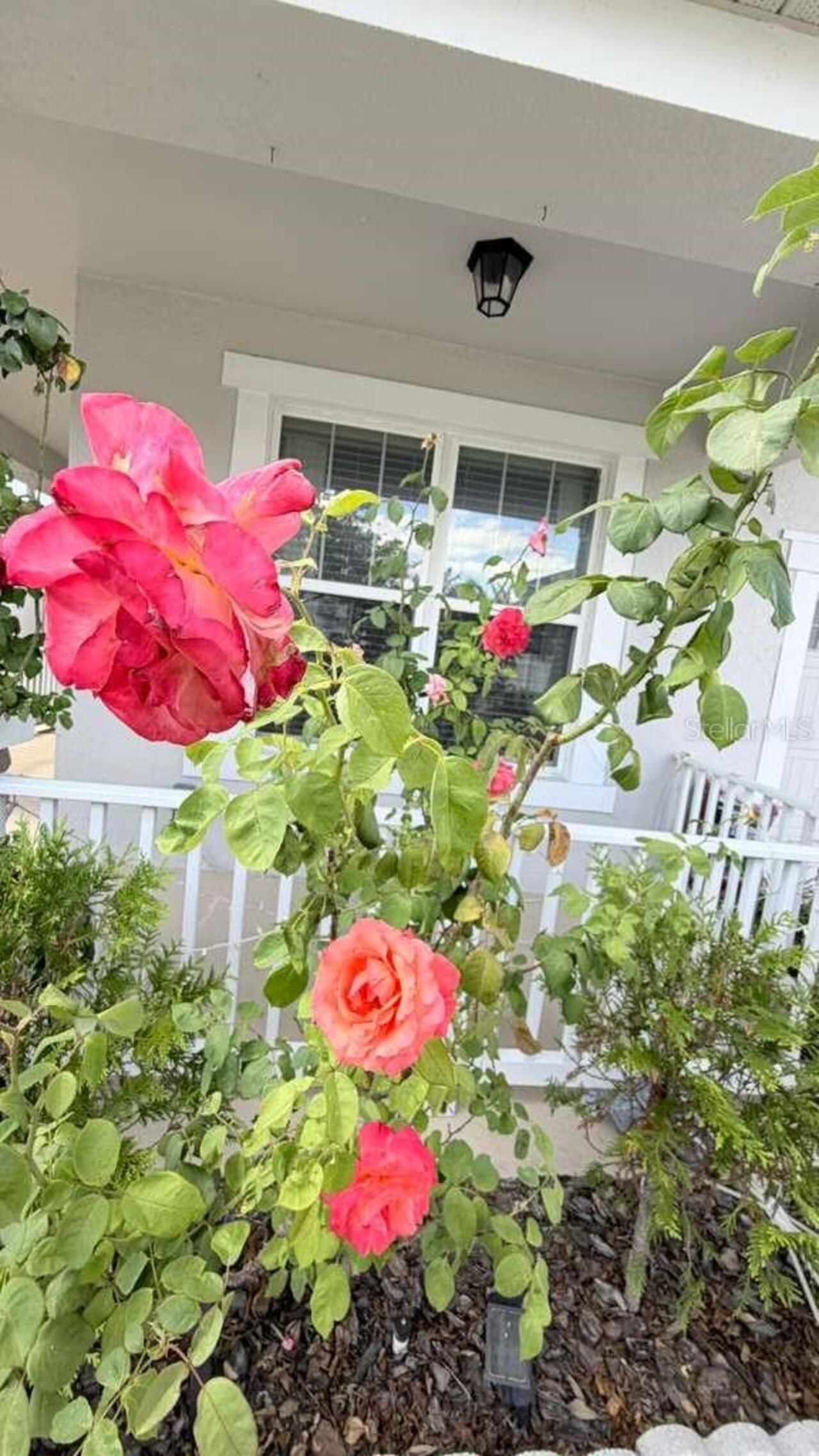 Listing Photo 47