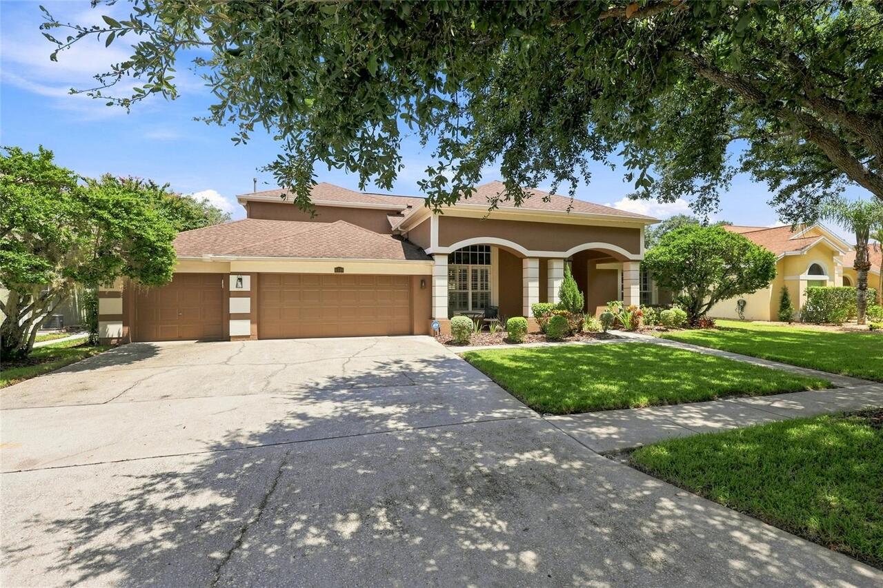 Tampa Real Estate