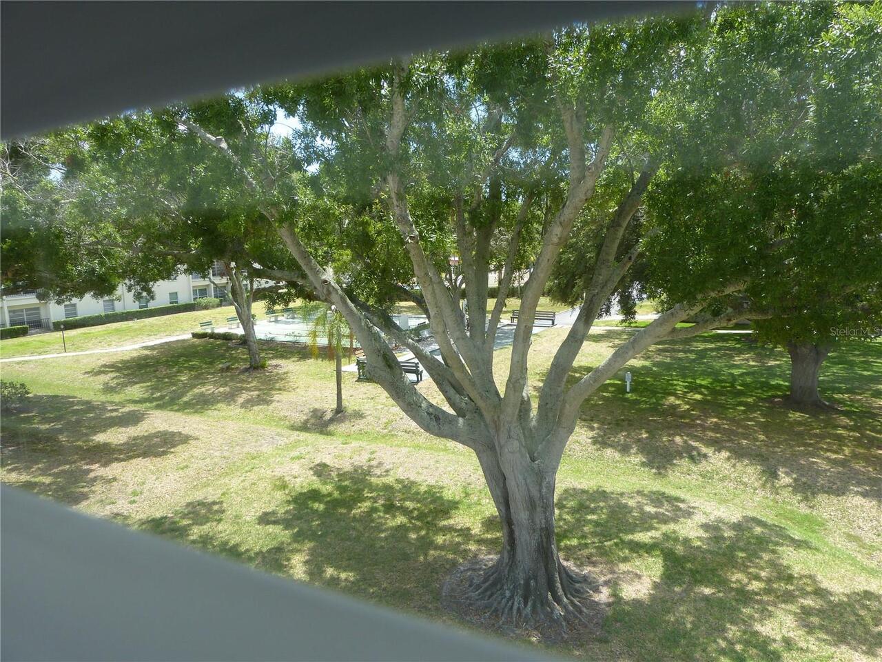 Listing Photo 41