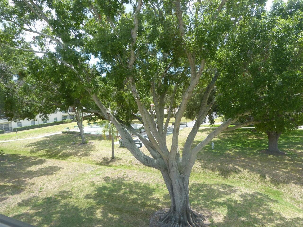 Listing Photo 42