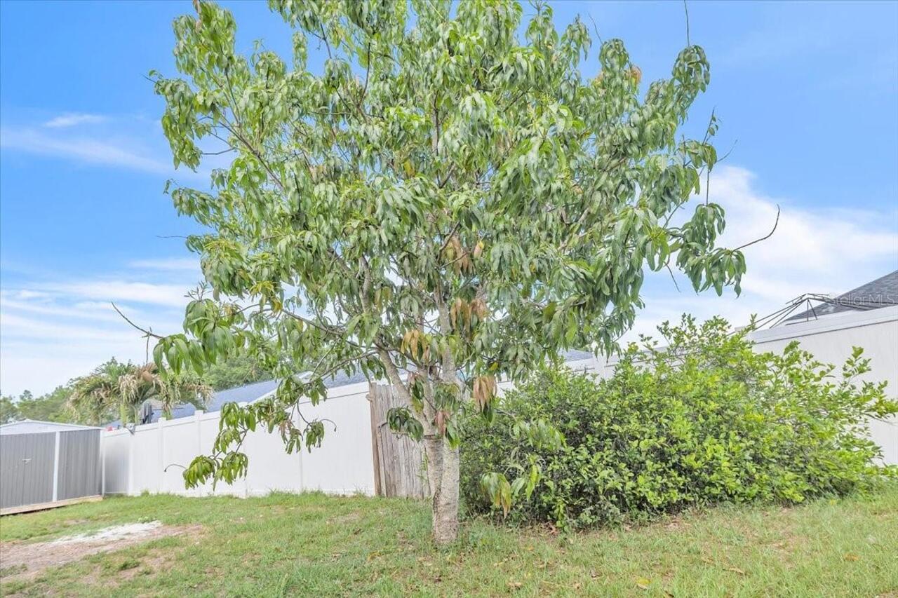Listing Photo 21