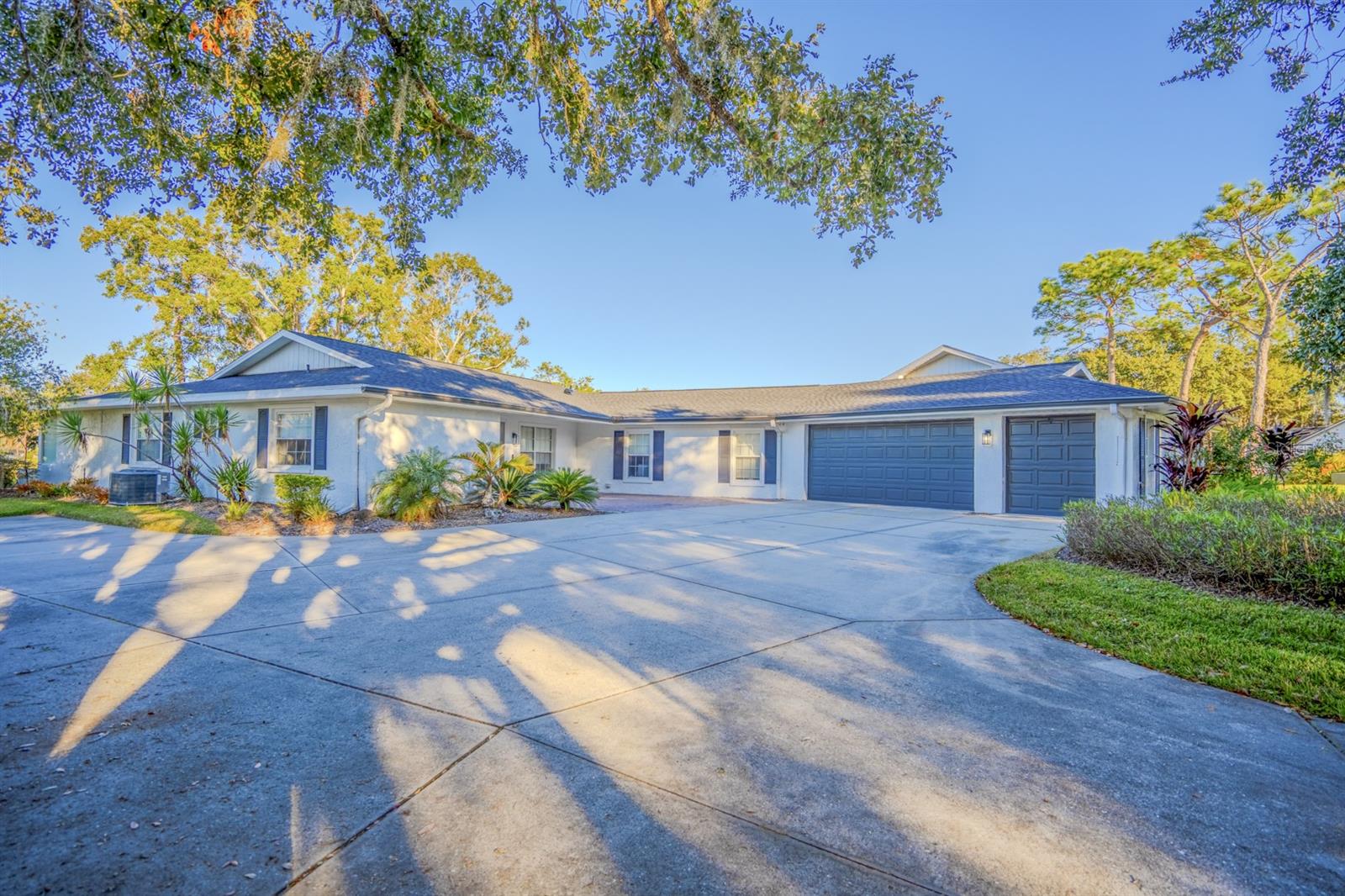 Zephyrhills Real Estate
