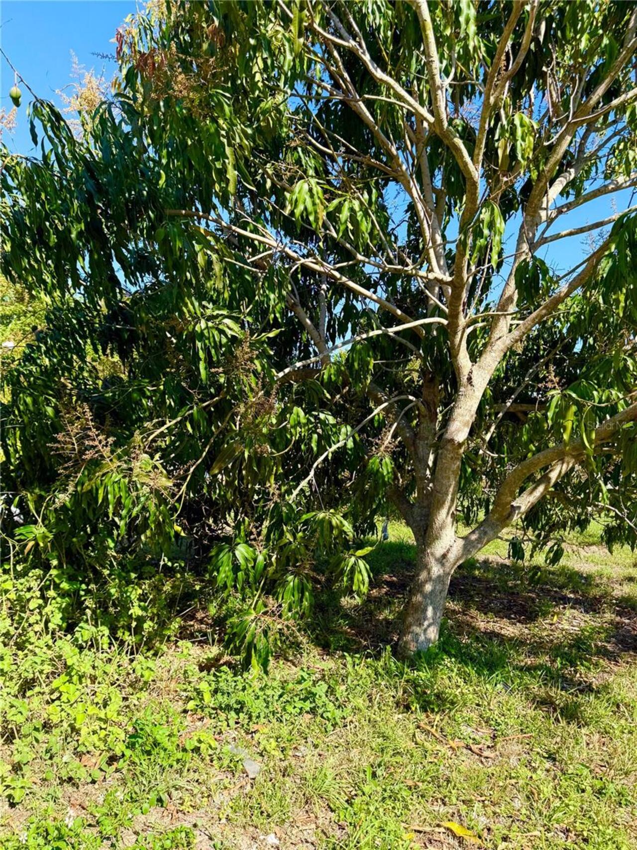 Listing Photo 9