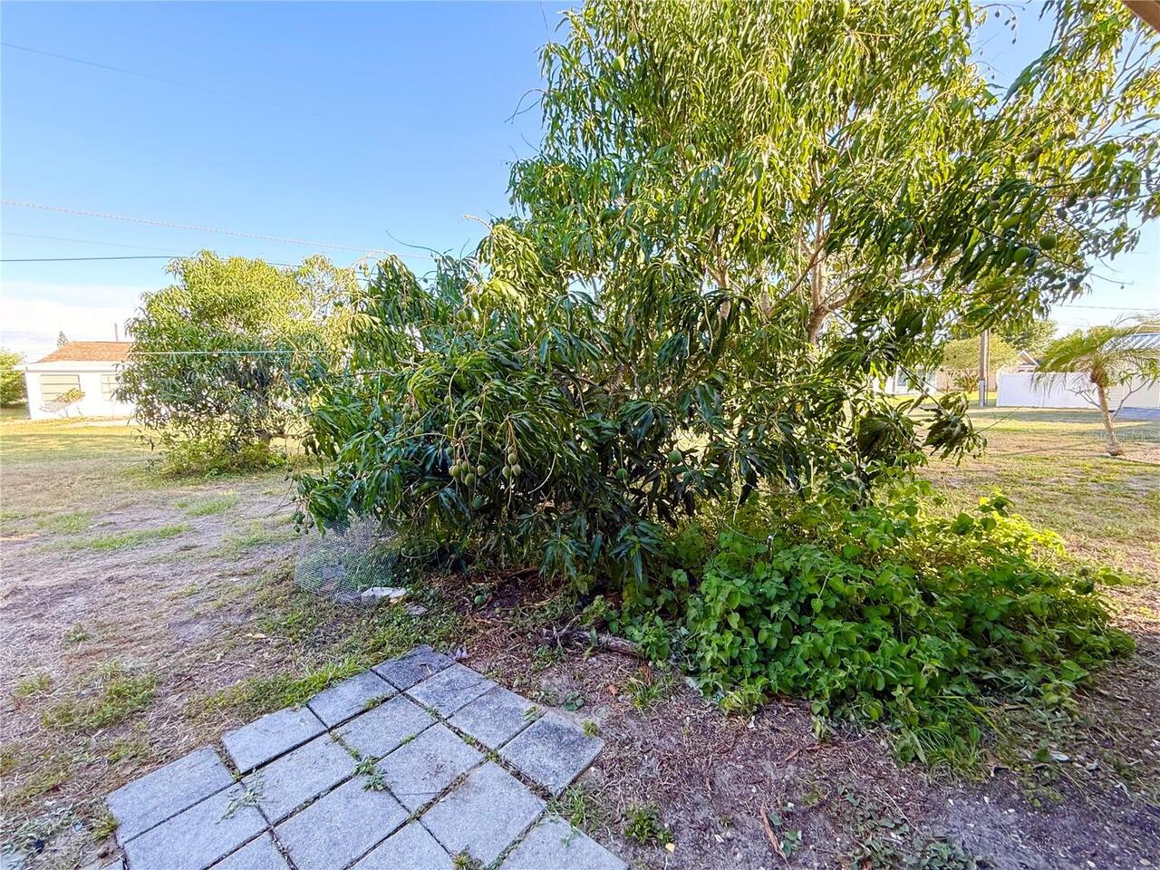 Listing Photo 21