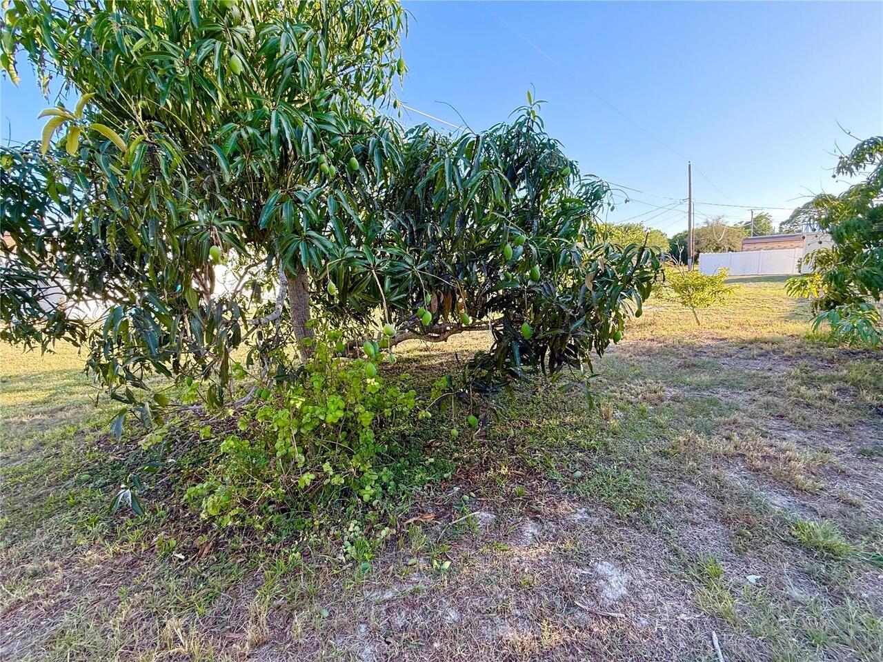 Listing Photo 22