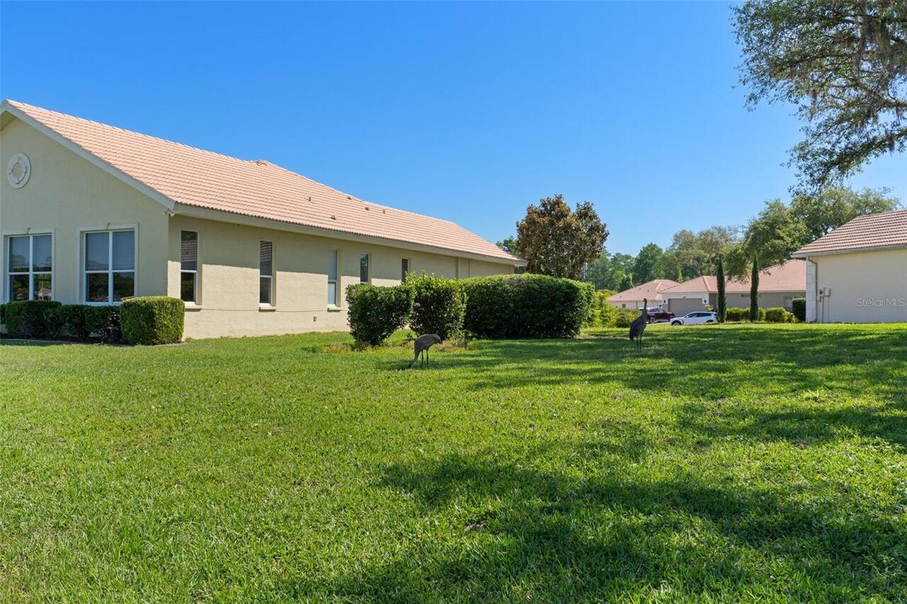 Listing Photo 57