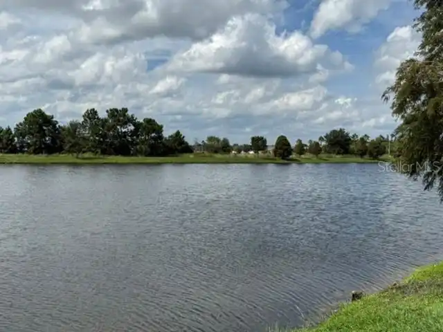 Listing Photo 42