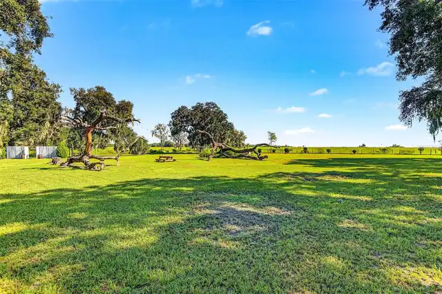 Listing Photo 76