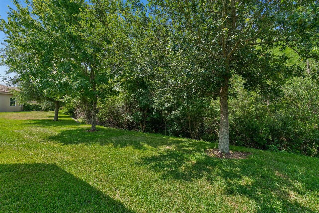 Listing Photo 75