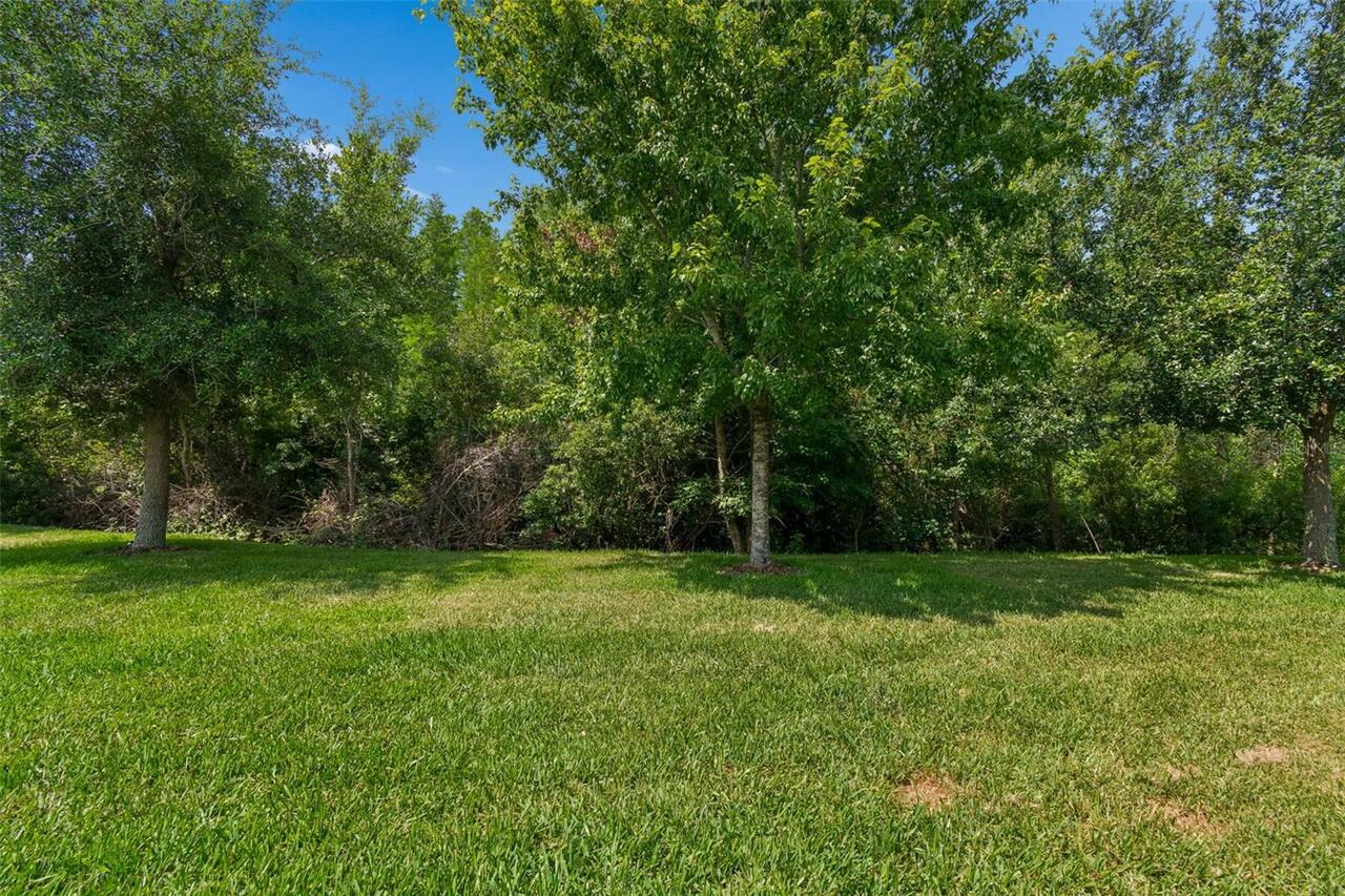 Listing Photo 76