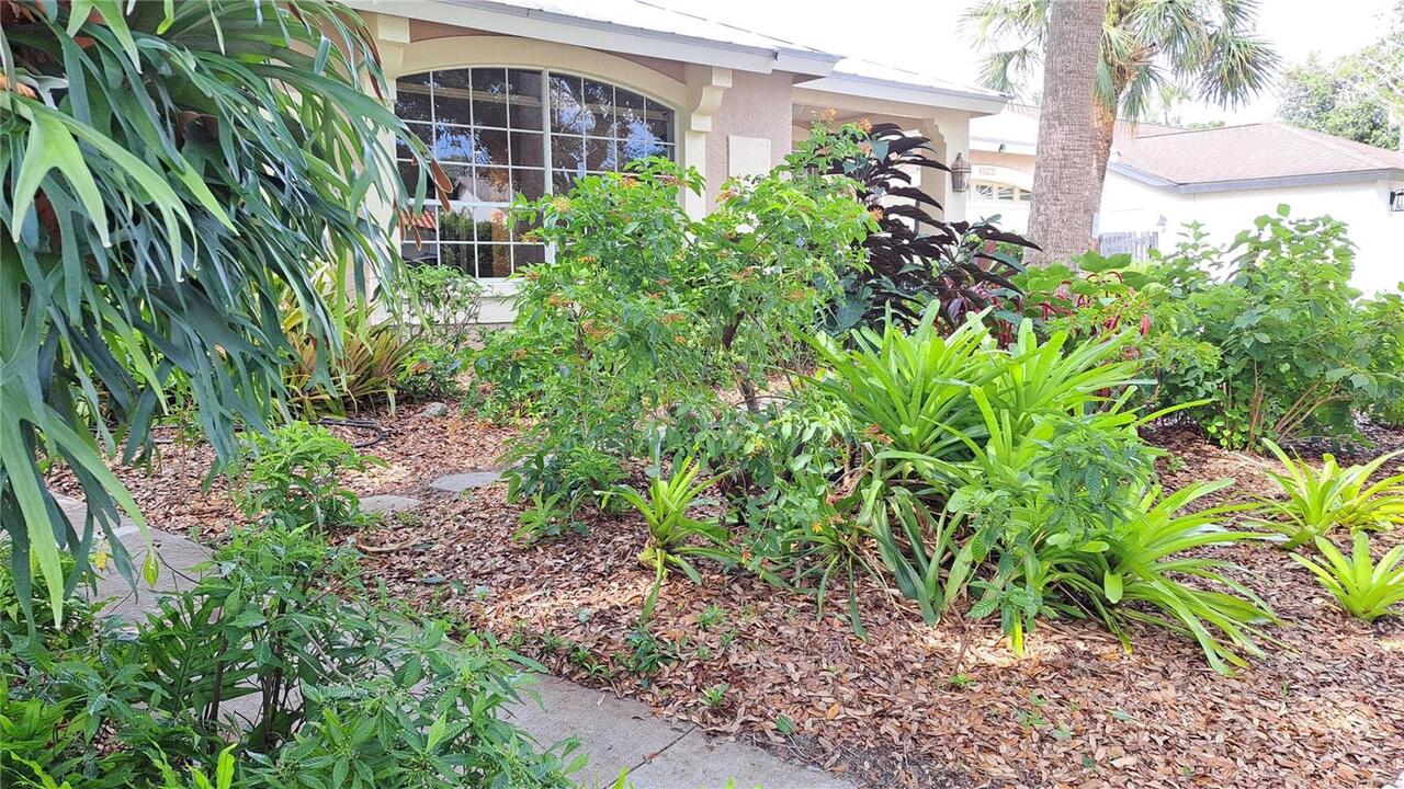 Listing Photo 43