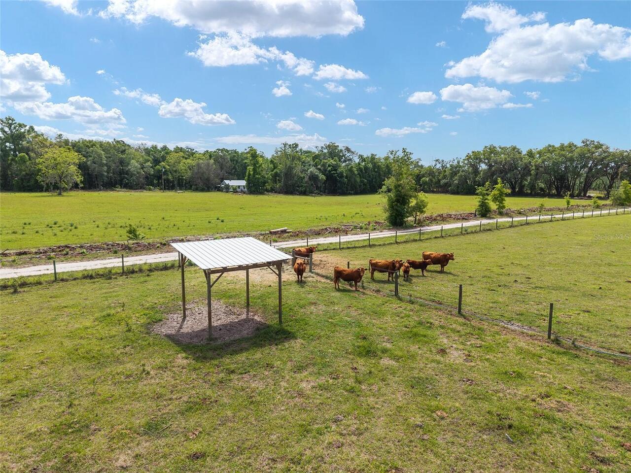 Listing Photo 19