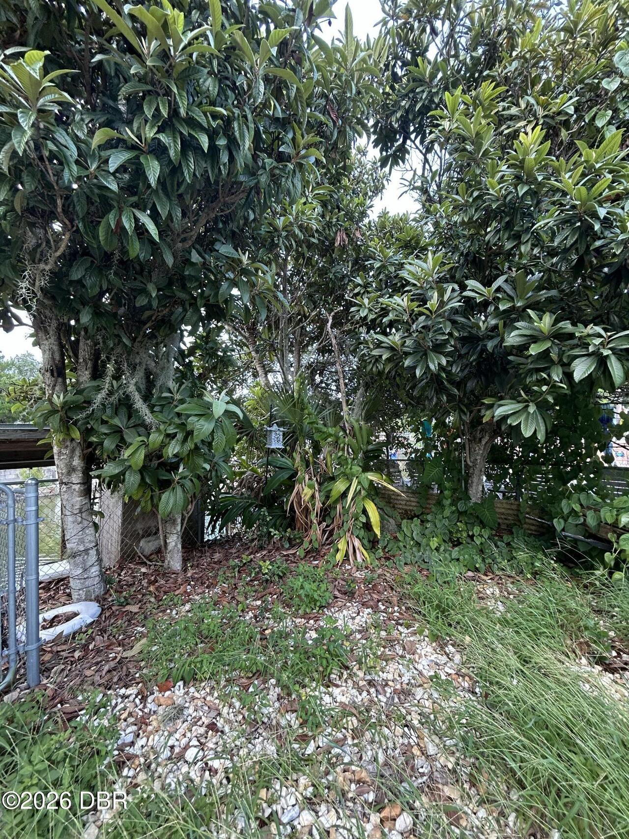 Listing Photo 51