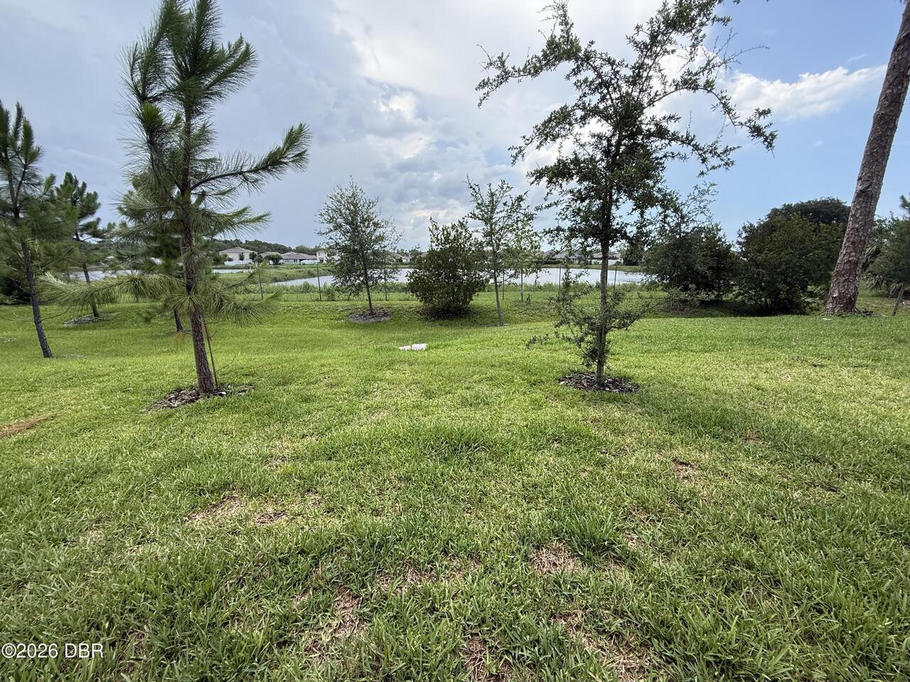 Listing Photo 12