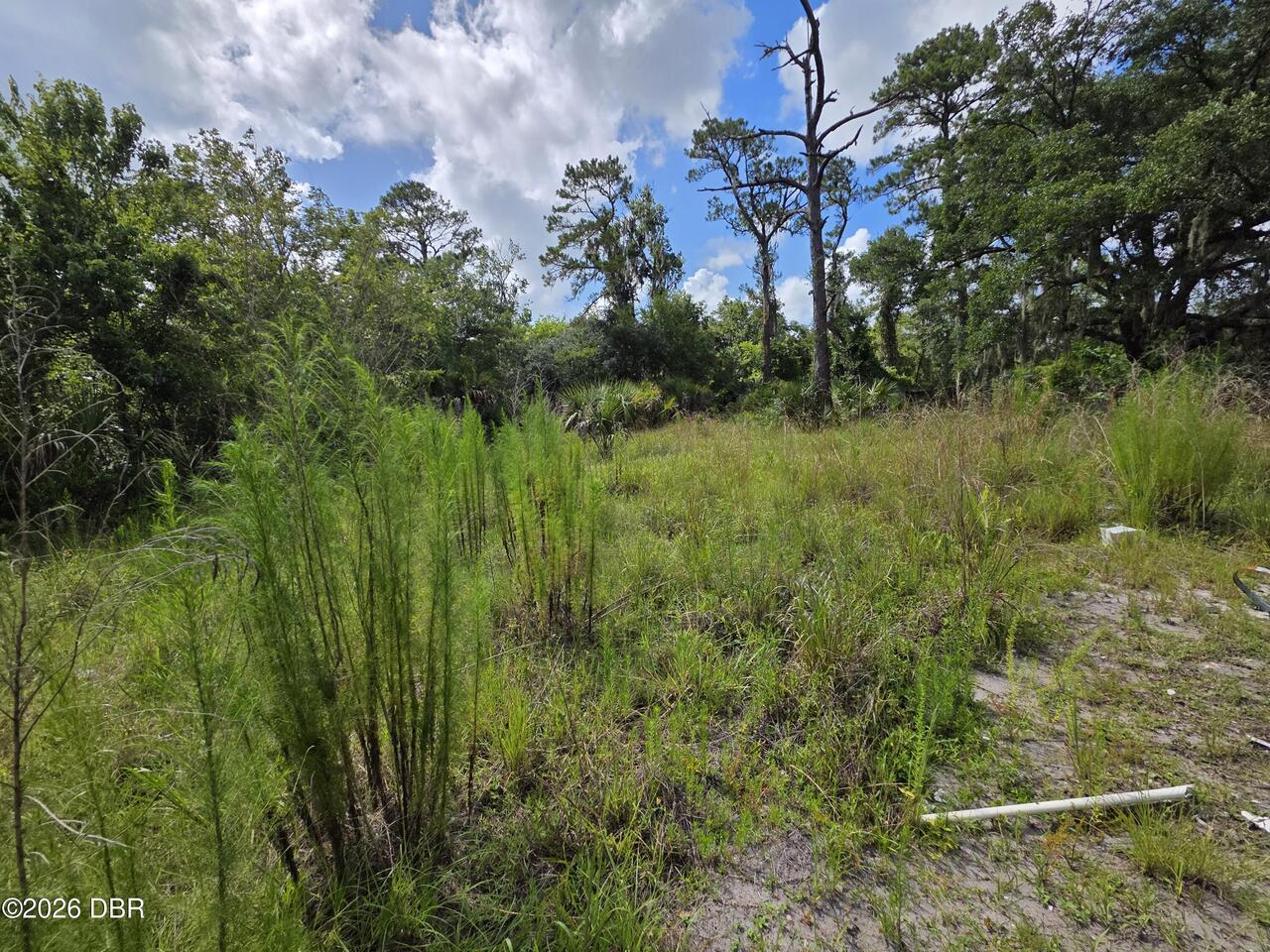 Listing Photo 9