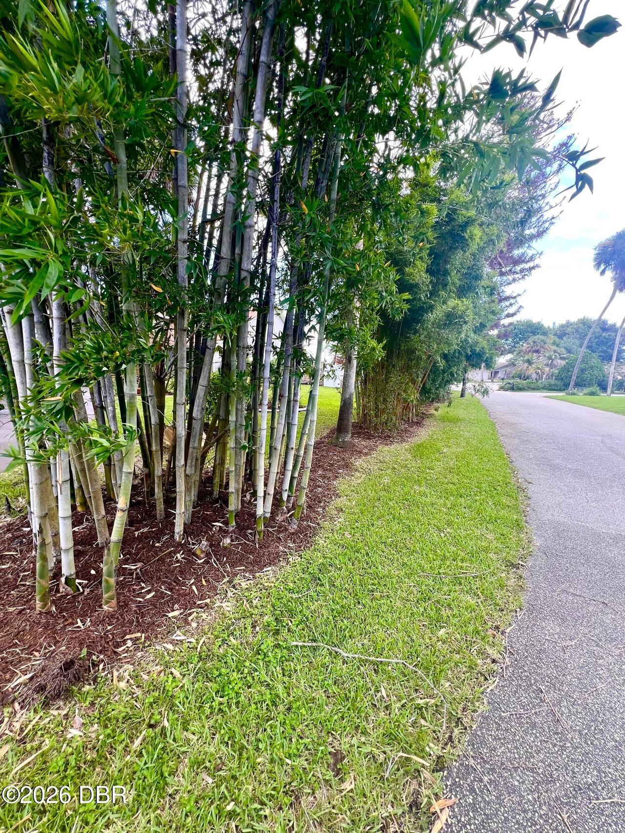 Listing Photo 45