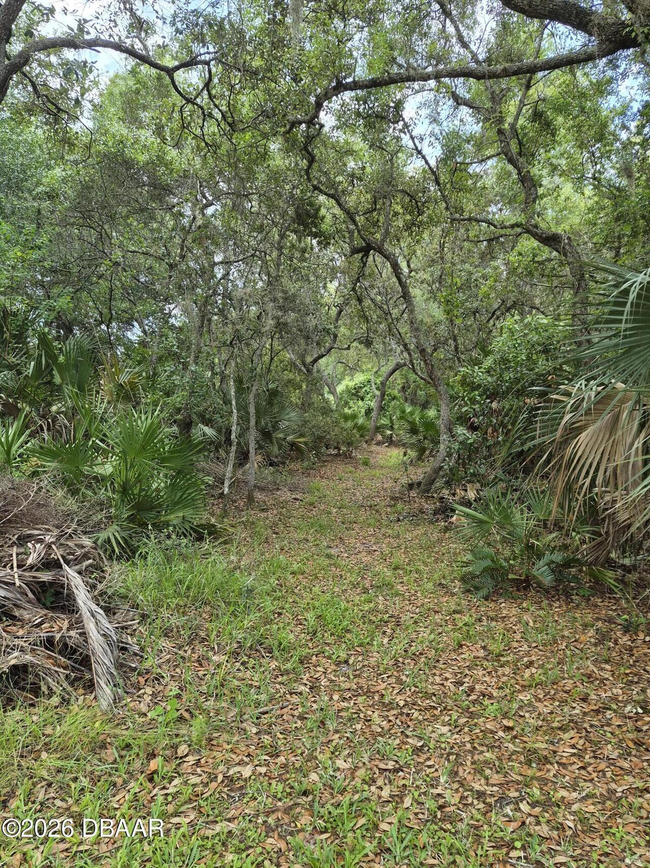 Listing Photo 37