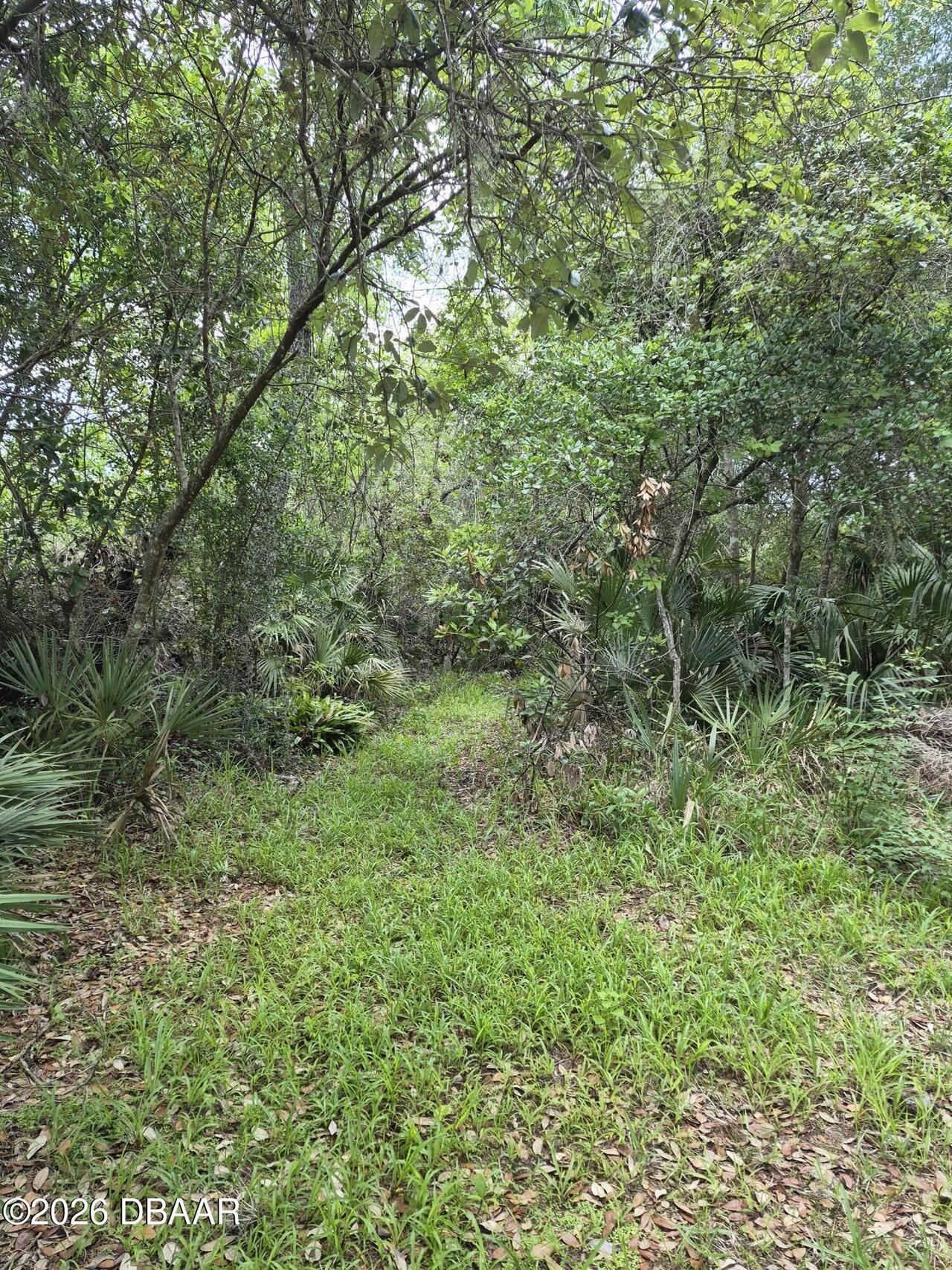 Listing Photo 38