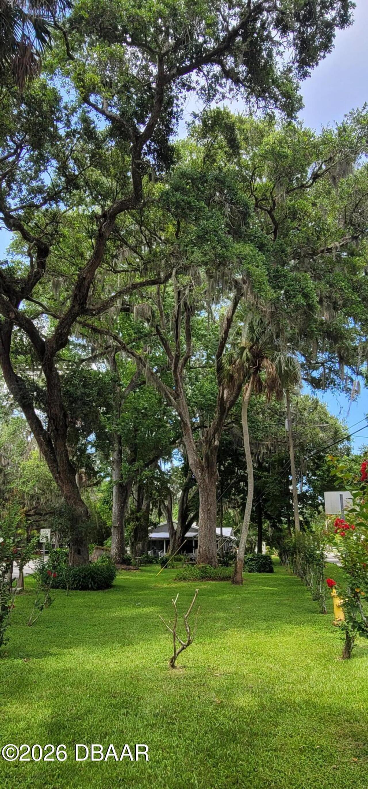Listing Photo 23